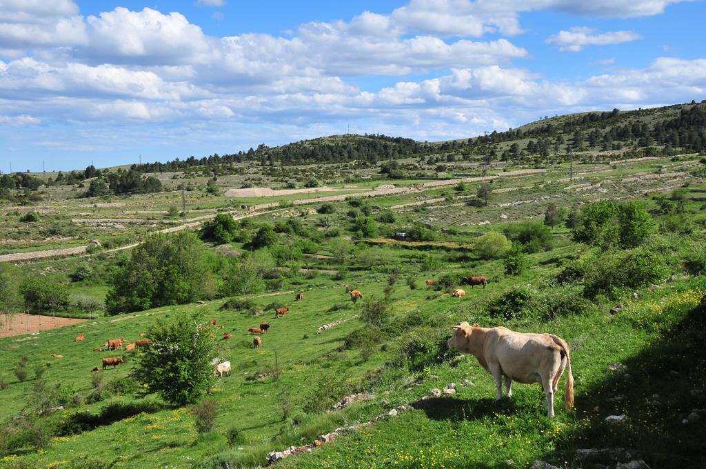Casa Rural El Boixar - El Mirador Bojar Екстер'єр фото